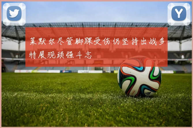 莱默尔尽管脚踝受伤仍坚持出战多特展现顽强斗志